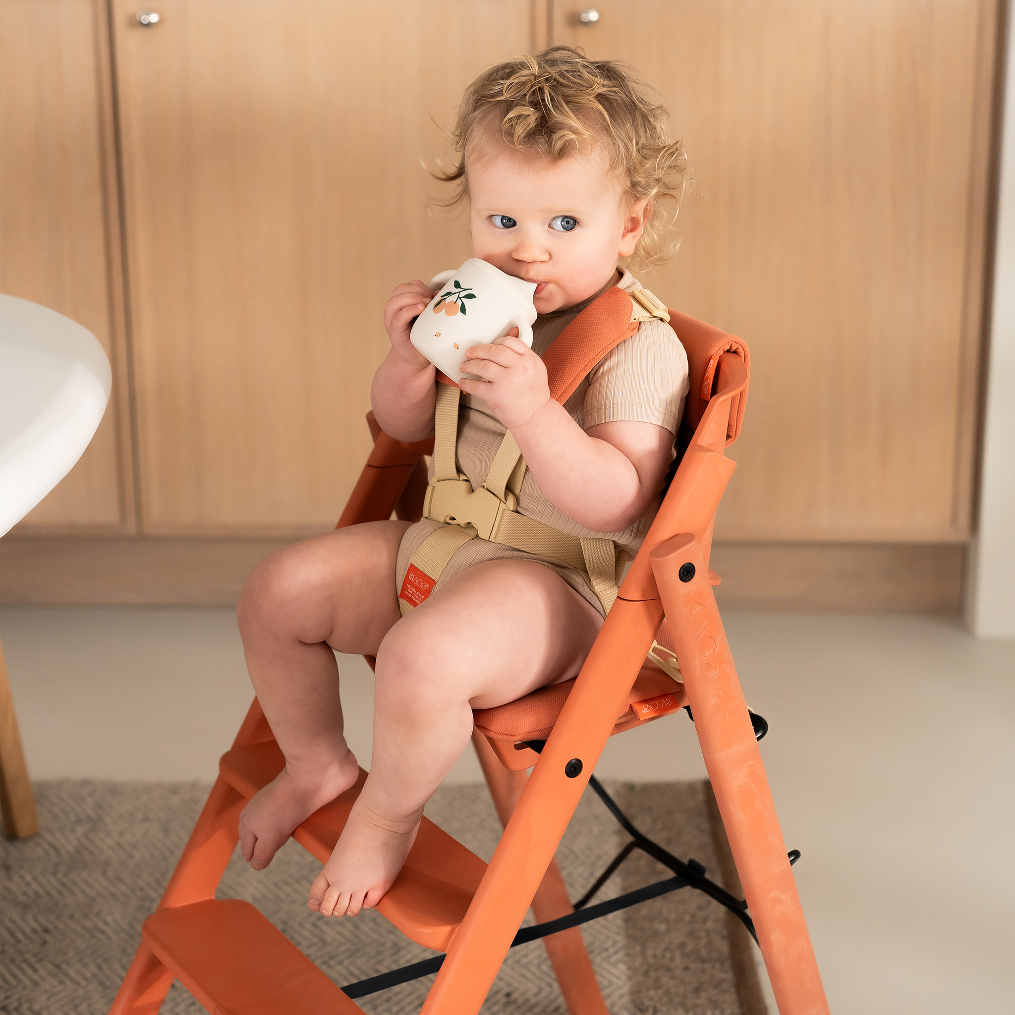 KAOS KLAPP® Jr. Harness & Cushion Set, alternate view 2